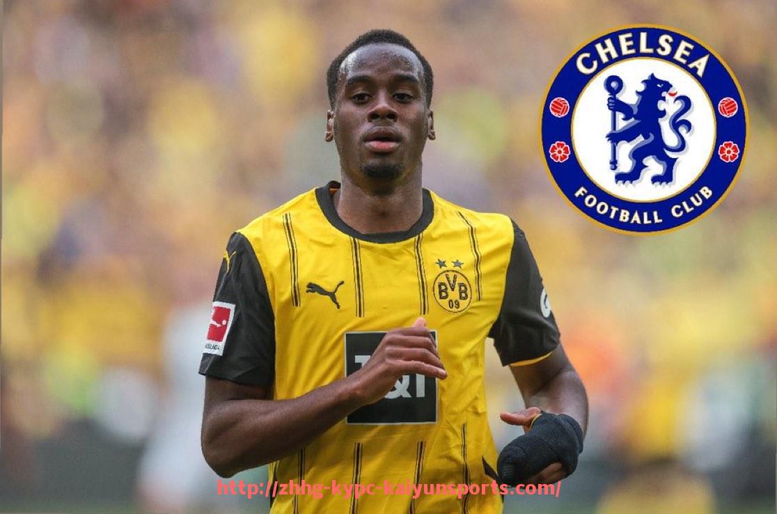 ky开云体育-2012年英超球员名单及当季亮点回顾