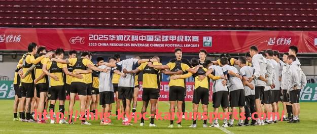 ky开云体育-法甲球队战绩预测分析:赛季目标能否达成?