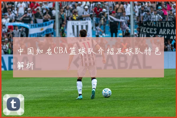 中国知名CBA篮球队介绍及球队特色解析