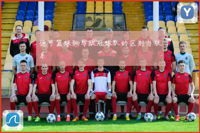 德甲篮球队与欧冠球队的区别与联系